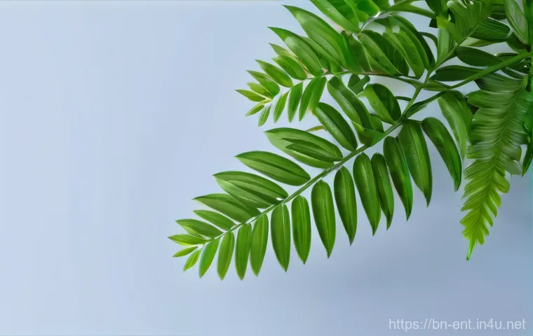 귀 압력 차이로 인한 통증 대처법 이미지 1 귀 압력 차이로 인한 통증 대처법 이미지 1